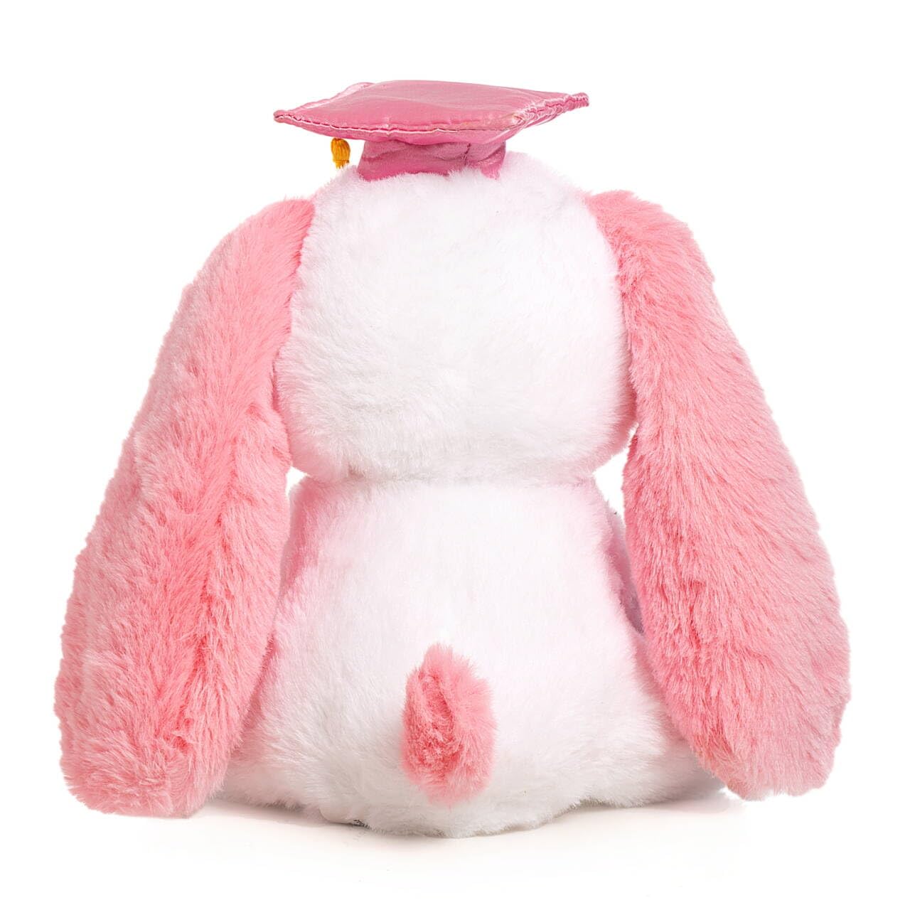 Oukiwi Graduation Gift 8 Inch Graduation Stuffed Animal Graduation Plush Stuffed Animal (Pink)