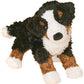Douglas Miranda Bernese Mountain Dog Plush Stuffed Animal