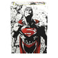 Dragon Shield Sleeves – Sleeves: Dragon Shield Limited Edition Matte Dual Art: Superman Core (Red/White) 100 Ct - Mtg Card Sleeves Are Smooth & Tough