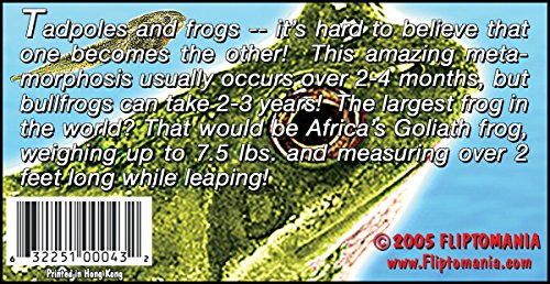 Fliptomania Tadpole to Frog Animation Flipbook