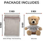 Witty Enterprise 10 Beige Teddy Bear with Gift Bag - Funny Apology Plush for Girlfriend, Boyfriend, Best Friend