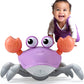 Scuttle & Groove Crawling Crab – Baby Fun Tummy Time & Crawling Buddy