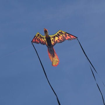 WindNSun Supersize Ultra 3D Firebird Ripstop Nylon Phoenix Kite, 74 Inches Wide