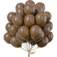 PartyWoo 12 Inch Brown Rubber Balloons, 50 pcs for Party, Wedding & Baby Shower Decorations - Model 4711100074643