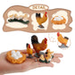 Life Cycle Of Chicken Toys Realistic Farm Animals Life Cycle Figurines Set Preschool Animals Figures Eduactional Project Diorama