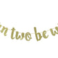Born Two Be Wild Glitter Banner, Two Years Old Banner, 2nd Birthday Party Decor (Gold)