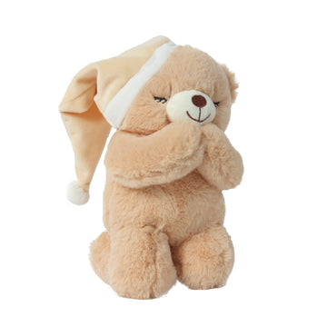 Linzy Plush 10 Now I Lay ME Down to Sleep Prayer Bear Plush Toys  Stuffed Animal  for Baby Boy Or Baby Girl