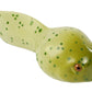 Insect Lore Frog Life Cycle Stages