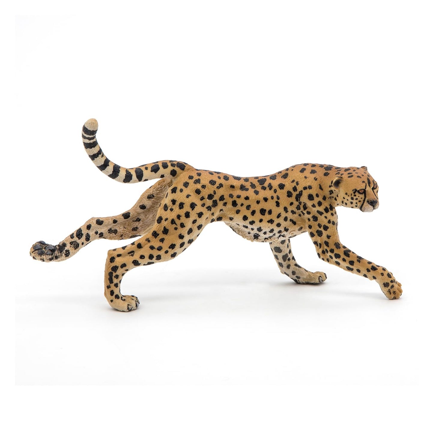Papo -Hand-Painted - Figurine -Wild Animal Kingdom - Running Cheetah -50238 -Collectible - For Children - Suitable For Boys And Girls- From 3 Years Old
