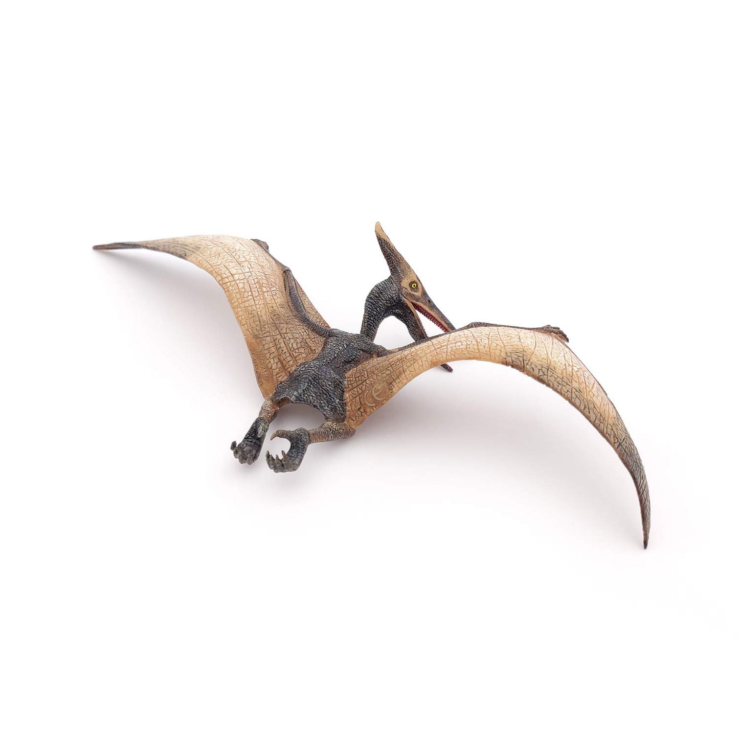 Papo Pteranodon Dinosaur Figure, 8.8cm, Multicolor, Plastic, Model 55006