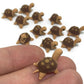 Mr_air_thai_Miniature Lot of 12 Miniature Turtle Fairy Garden Supplies Animal Figurine Furniture Dollhouse GD#003