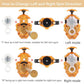 Bey Battling cutting edge Burst Launcher and Grip  B-184 Left Right Spin String Launcher Grip DB Layer System Compatible with All Bey Burst Series - Golden