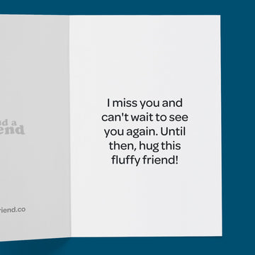 Sendafriend Oliver The Otter Stuffed Animal Care Package, Someone Loves You Box, Great Gift For Any Reason (Miss You Notecard)