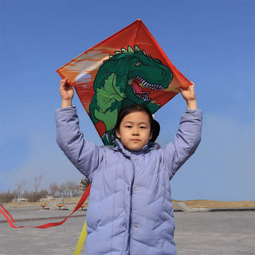 Diamond Kite [2 Pack] Dinasour+Unicorn Eddy Kite, Beginners Kite For Children, Wonderful Beginner Kite For 3 Years Up, 60X70Cm W