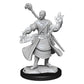 D&D Nolzur'S Marvelous Miniatures: Half-Elf Wizard Male