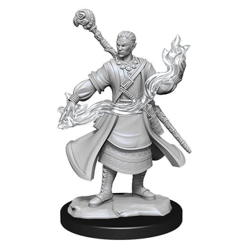 D&D Nolzur'S Marvelous Miniatures: Half-Elf Wizard Male