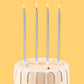 CAKE CODE 24-Count Silver Long Thin Birthday Candles, Cake Candles, Birthday Parties, Wedding Decorations, Party Candles