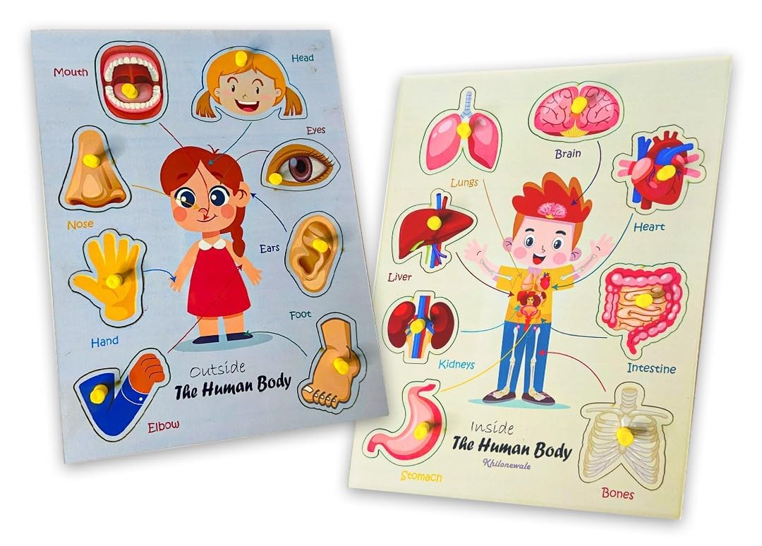 Khilonewale Combo of Body Parts Puzzle Set  Set of 2 Inside & Outside Body Parts and Outside Body Parts Educational Learning To