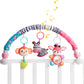 Koty Baby Stroller Arch Toy - Car Seat Toys for Babies 0-6 Months,Activity Arch Toy with Play Accessories, Sensory Travel Crib B