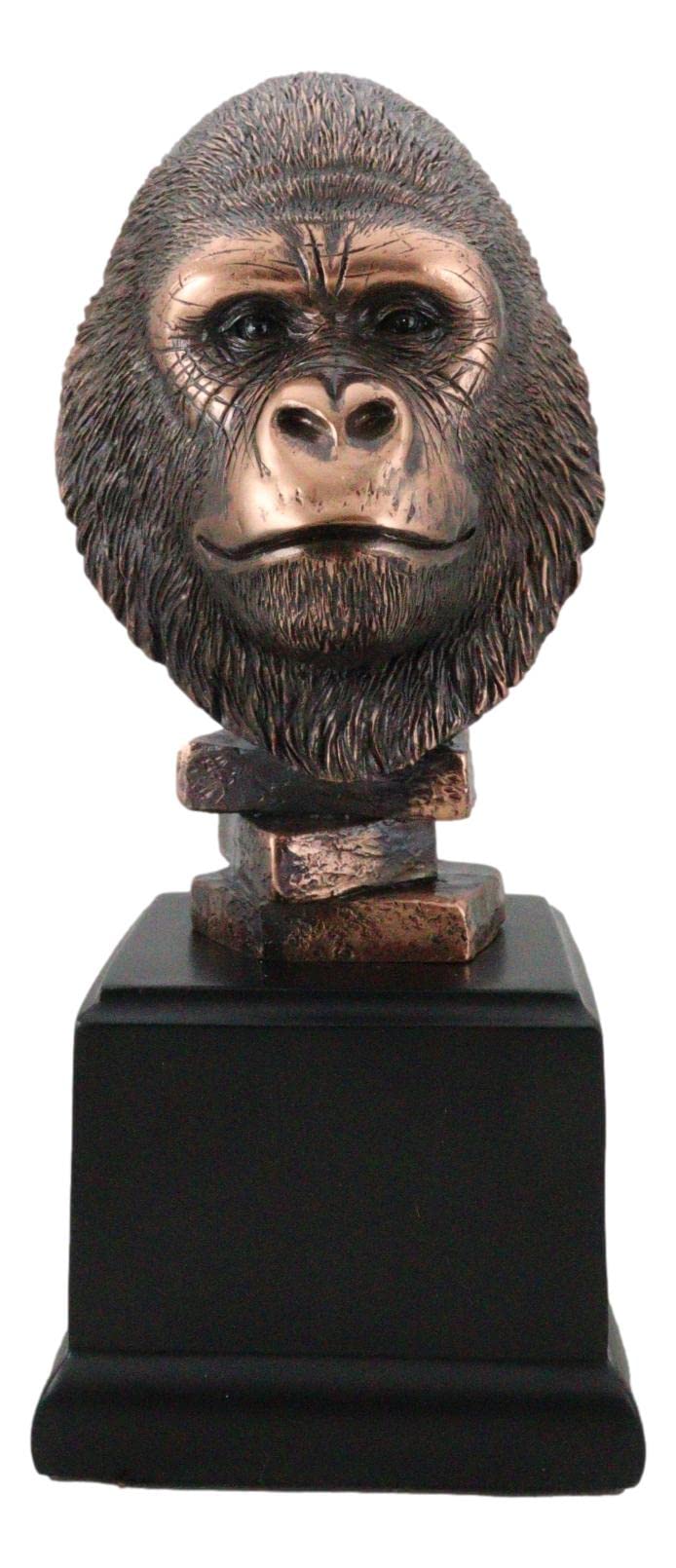 Ebros Gift large online retailer Basin Rainforest Silverback Gorilla Head Bust Statue in Bronze Electroplated Finish with Black Trophy Base 8.25 Tall King Kong Congo Great Ape Gorillas Figurine