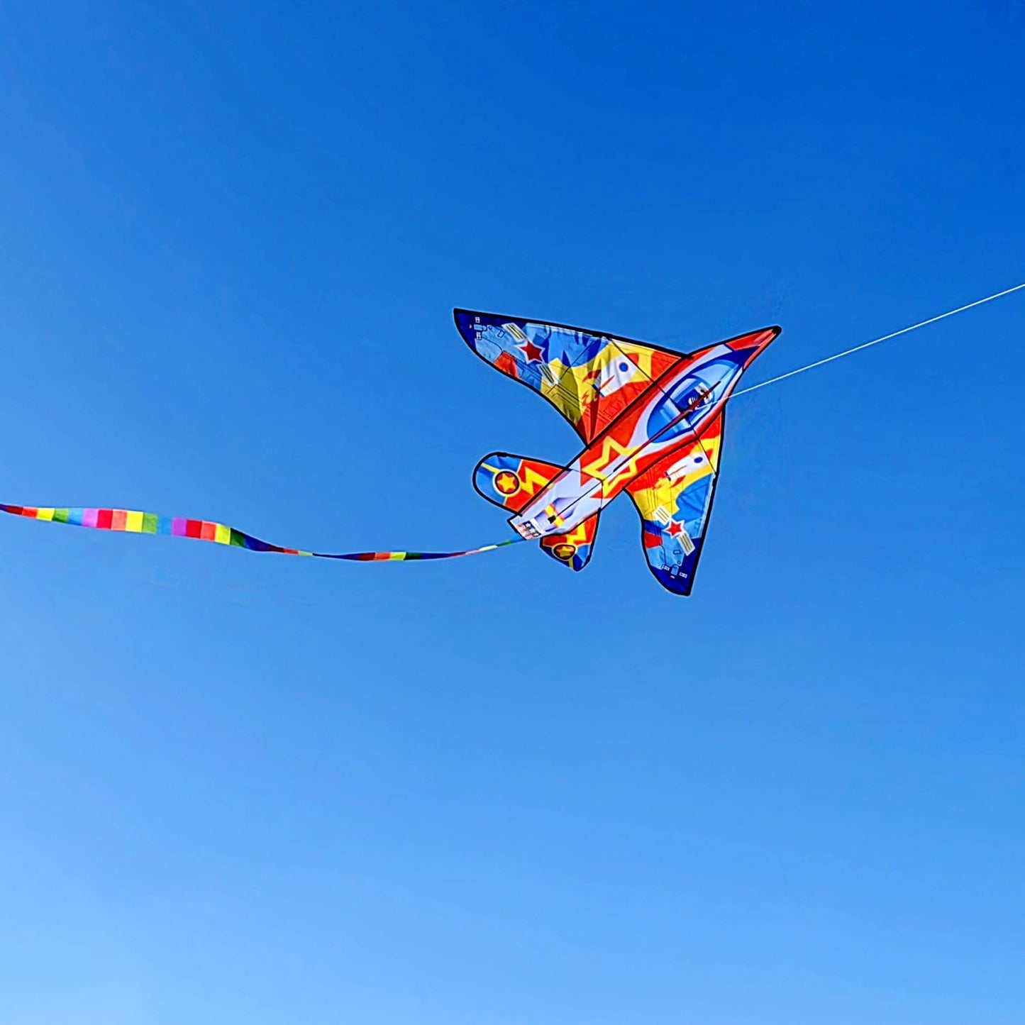SNJOYFUL Air Kites for Kids and mature-themed  Huge Kite Easy to Fly  59 Beach Travel Beginner Kites for Kids Ages 4-8  Comes with 118 Colourful Tail