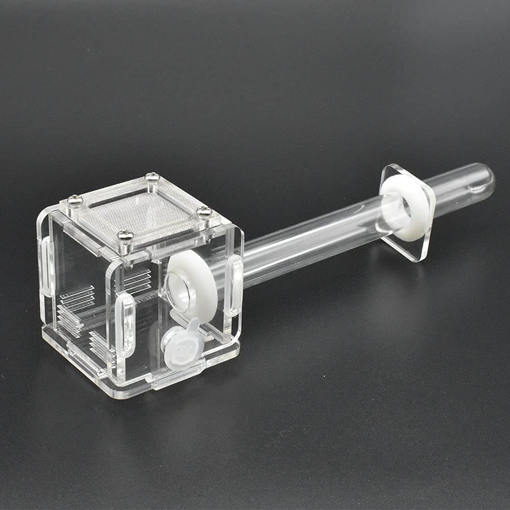 Acrylic Transparent Mini Ant Nest Glass Nest Tube Farm Experiment Small Colony Feeding Area Ant Observation Science 50X50X50Mm