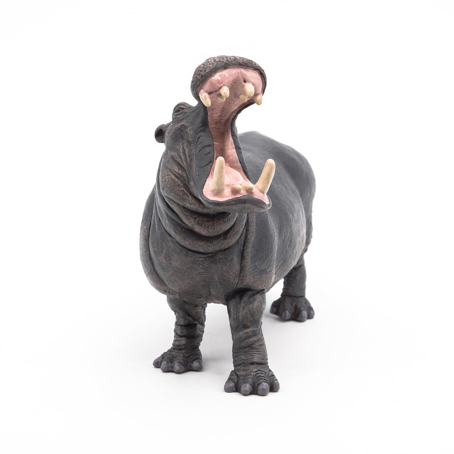 Papo Hippopotamus Toy Figure - Multicolor Plastic Model 50051