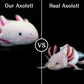 Tiny Heart Axolotl Plush,Stuffed Animal,Lifelike Cute Ambystoma Plush Toy,Gifts For Kids,18 Inches Long