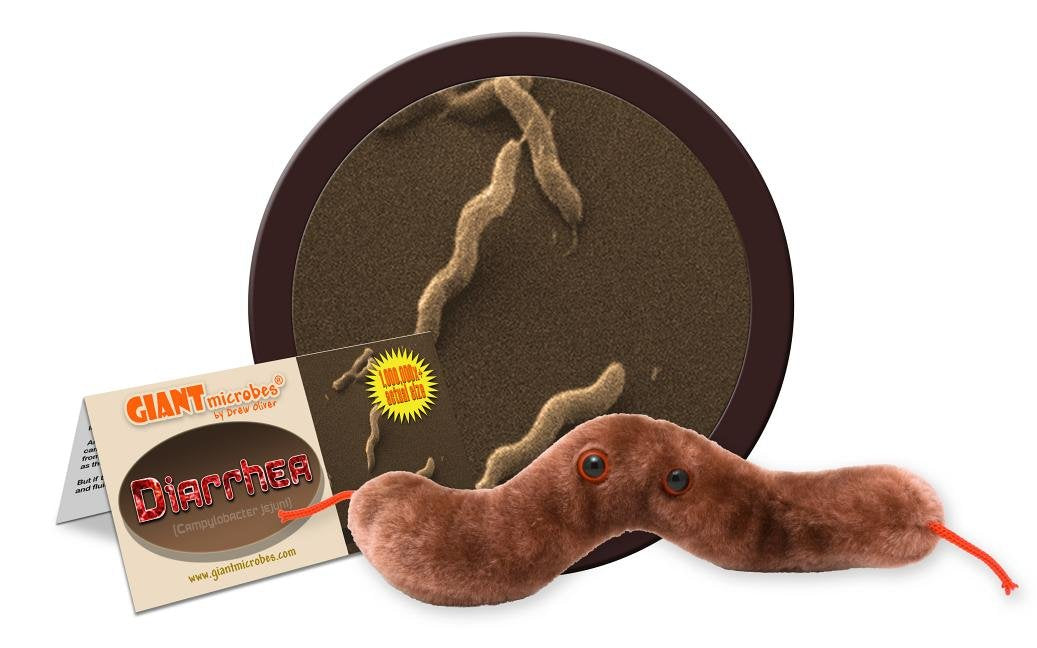 Giantmicrobes Diarrhea Plush - Learn About Digestive Health, Campylobacter Bacteria And How It Affects The Body, Humorous Gift F