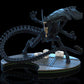 Aliens Alien Queen Q-FIG MAX advanced Diorama