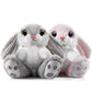 Nleio 2 Pack Bunny Stuffed Animals, 8.5 Inches Bunny Plush With Floppy Ears, Super Soft Plush Toy Rabbit Stuffed Animal Companio