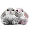 Nleio 2 Pack Bunny Stuffed Animals, 8.5 Inches Bunny Plush With Floppy Ears, Super Soft Plush Toy Rabbit Stuffed Animal Companio