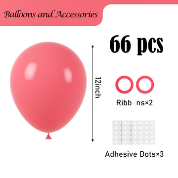 Voircoloria Retro Hot Pink Balloons, 66Pack 12Inch Blush Hot Pink Balloons Latex Party Balloons For Birthday Baby Shower Valenti