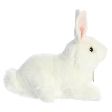 Aurora - Miyoni - 10' American White Rabbit