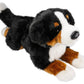 Carl Dick Bernese Mountain Dog, 16 Inches, 40Cm, Plush Toy, Soft Toy, Stuffed Animal 1542001