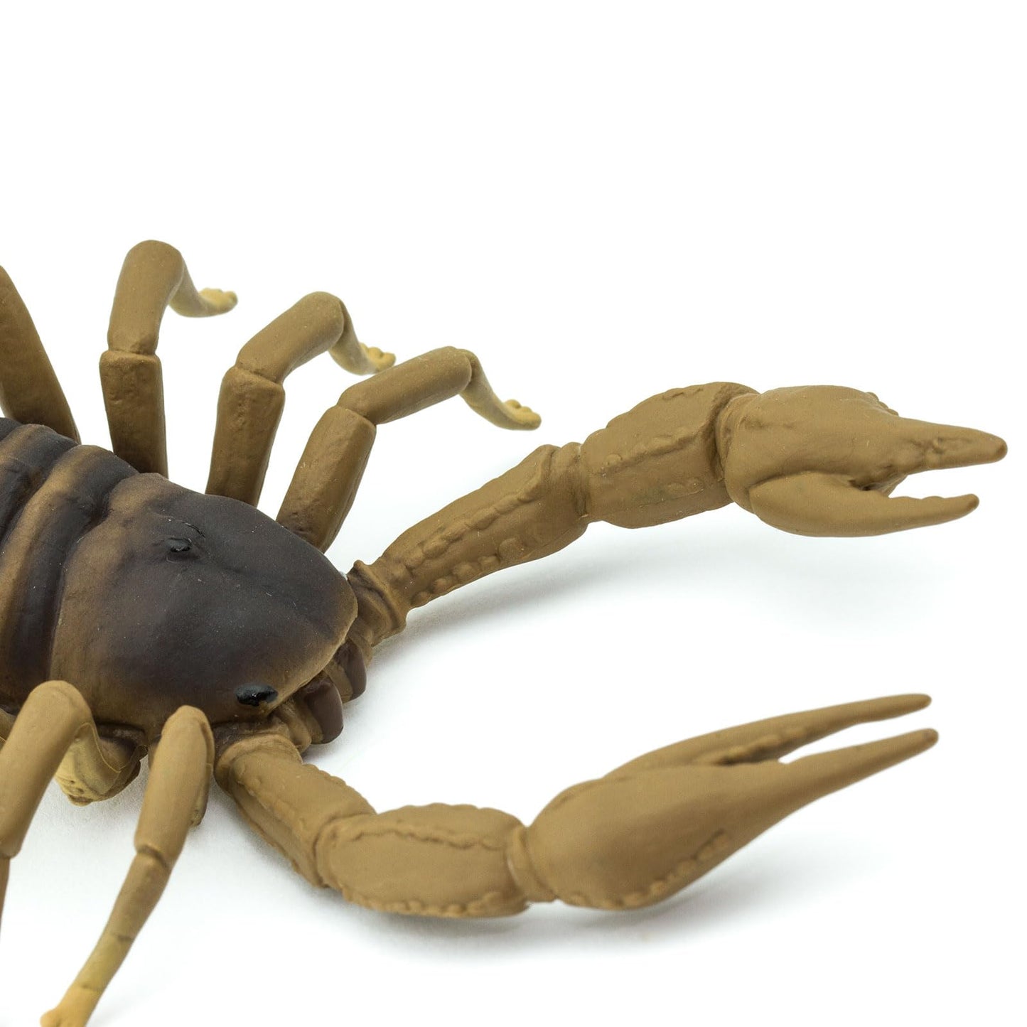 Safari Ltd. Scorpion Figurine - Realistic 7.5" Brown Arachnid Toy for Kids Ages 3+ - Educational Model 100260