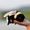TAMMYFLYFLY Soft Bee Plush Toy - Cute 17cm Stuffed Animal Doll, Yellow Plush Honeybee