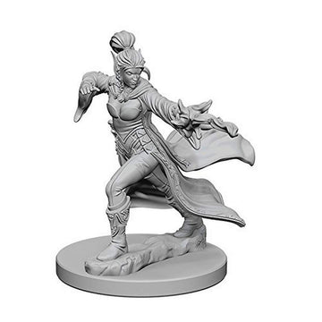 Wizkids Wzk72606 Pathfinder Deep Cuts Elf Female Sorcerer W1 Miniature