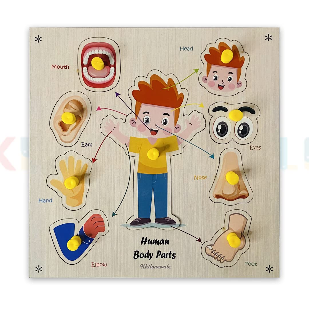Khilonewale Kids Multicolor Wooden Human Body Parts Puzzles for Kids  Knob Puzzle Set, Educational Learning Board Toy for Chil
