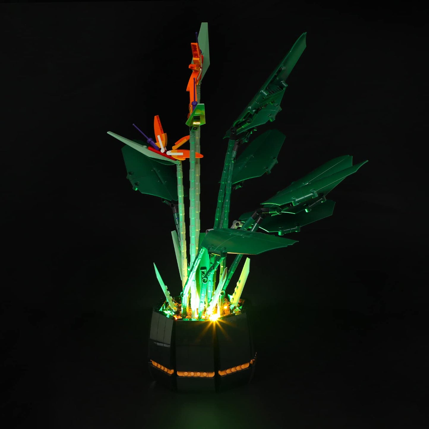 Briksmax Led Lighting Kit For Creator Bird Of Paradise - Compatible With Lego 10289 Building Blocks Model- Not Include The Lego Set