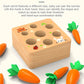 Rechiato Montessori Toys For 1 Year Old, Carrot Shape Size Sorting Game, Wooden Easter Baby Toys For Babies 6-12 Months Fine Mot