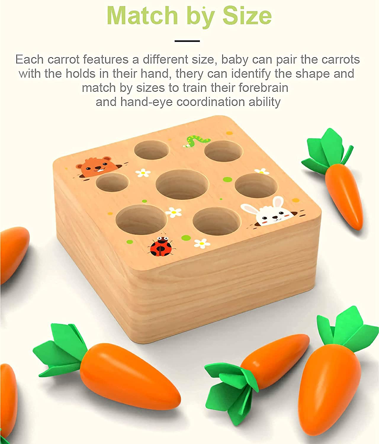 Rechiato Montessori Toys For 1 Year Old, Carrot Shape Size Sorting Game, Wooden Easter Baby Toys For Babies 6-12 Months Fine Mot