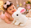 Wienry Interactive Bunny Toy Walking Hopping with Sound