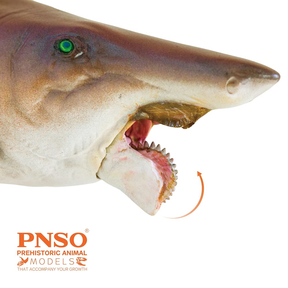 Pnso Prehistoric Animal Models (43 Haylee The Helicoprion)