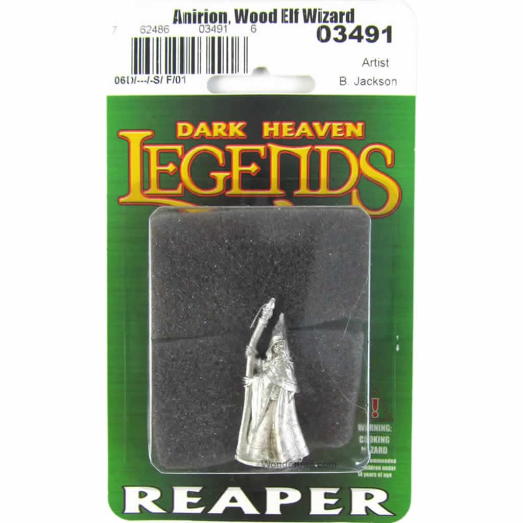 Reaper Anirion  Wood Elf Wizard