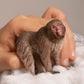 Schleich Wild Life New 2024 Wild Animal Toy Japanese Macaque Figurine