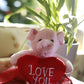Plushland Stuffed Animal With Red Heart - Love You- Plush Animals Toy For Kids & Adults - Embroidered Heart Pillow -8 Inches (Pi