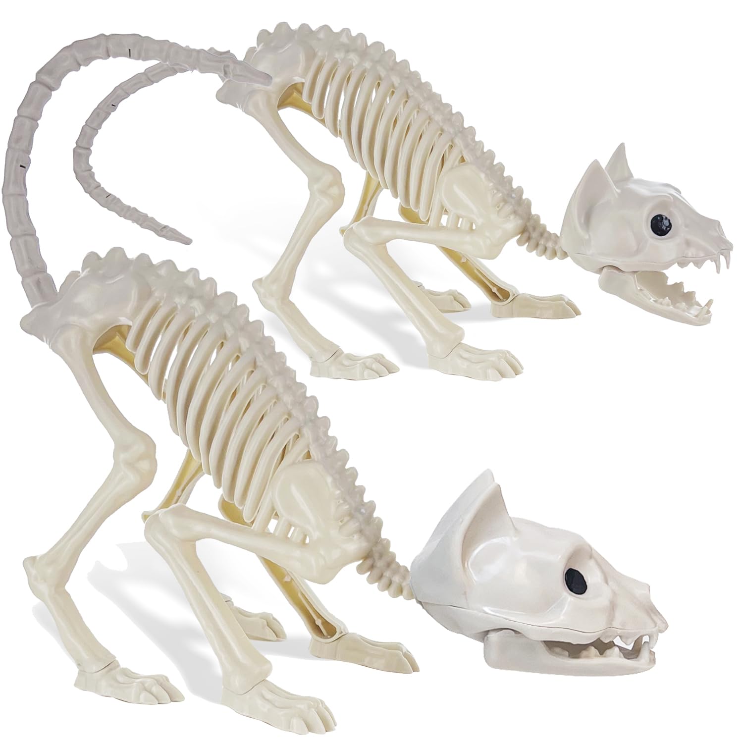 Giftexpress 2 Pack Real Size Cat Skeleton - 20'' Long Creepy Kitten Skeletons With Posable Tail Halloween Decor - Indoor & Outdo