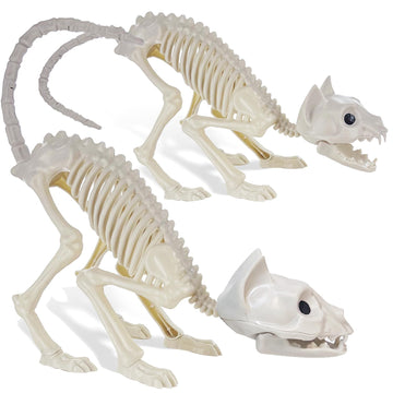 Giftexpress 2 Pack Real Size Cat Skeleton - 20'' Long Creepy Kitten Skeletons With Posable Tail Halloween Decor - Indoor & Outdo
