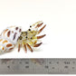 Sansukjai Seashell Hermit Crab Miniature Figurines Beach Animals Hand Blown Glass Art Natural Collectible Gift Decorate, Pastel Yellow